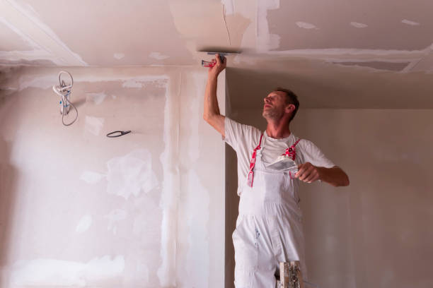 Best Ceiling Drywall Installation  in Amboy, IL